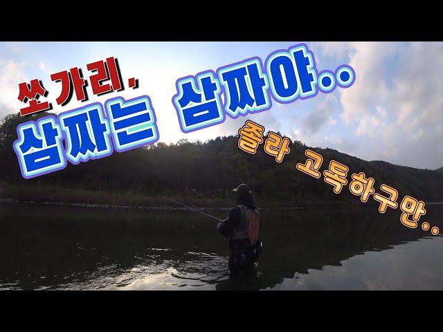 쏘가리낚시. 세마리 놓아주니 용왕님께서 사이즈 좋은 쏘가리 세마리주셨어요