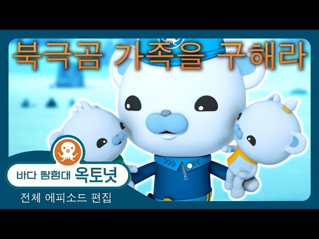 바다 탐험대 옥토넛 - ‍️ 북극곰 가족을 구해라  - 120분+ 편집 - 모음집