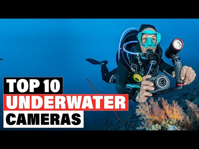 Best Underwater Camera 2024 [Top 10 Picks Reviewed]