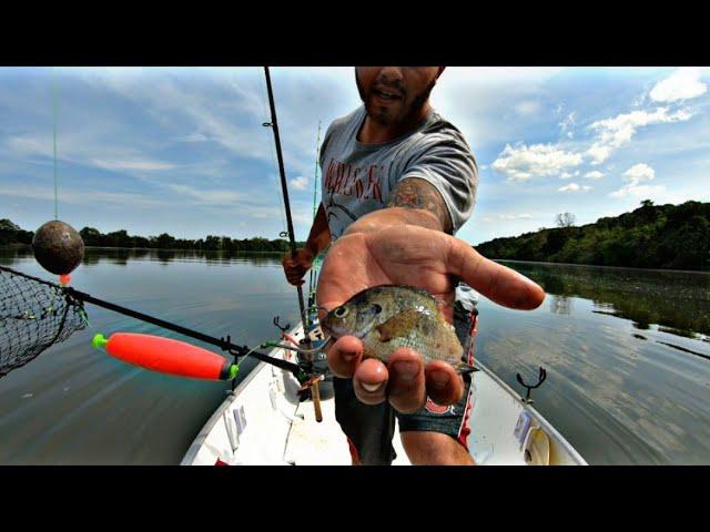 PRE spawning Catfish vs Post Spawn?!