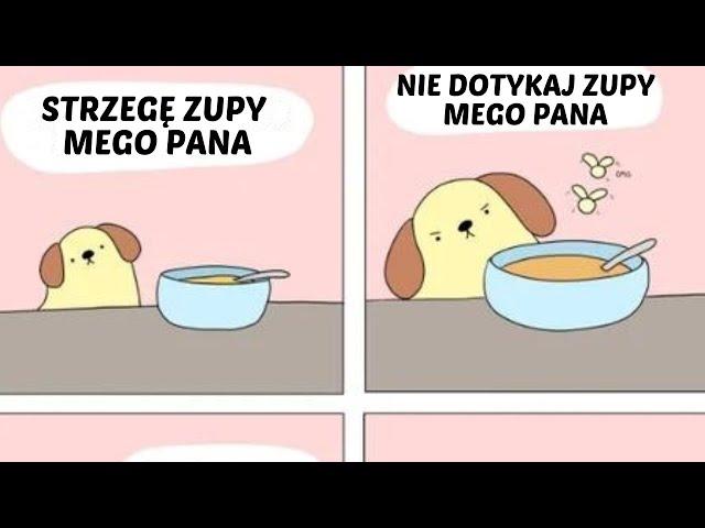 Memy Dzielnie Strzeżone Specjalnie Na Tę Okazję 