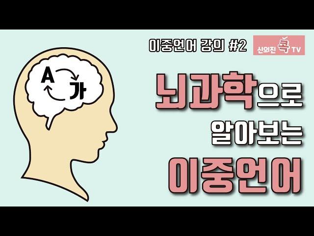 육아필수강의#11 뇌과학으로 알아보는 이중언어 _신의진 콕 TV