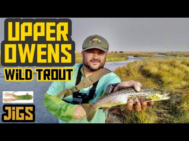 Upper Owens River Fishing | Eastern Sierra | Jigs