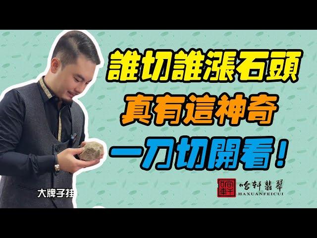 哈軒翡翠| 誰切誰漲石頭，真有這神奇，一刀切開看！#翡翠#玉器#珠寶玉器#玉石#緬甸翡翠#翡翠原石#切石頭