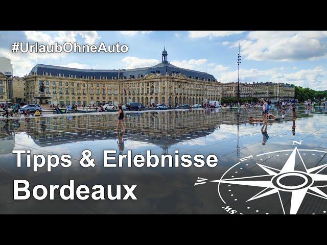 Bordeaux trip: Sightseeing, wine and discoveries by bike