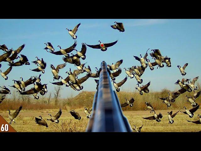 TONS of GEESE Dumped Into a TINY Spread! | SOLO Goose Hunt On Ice