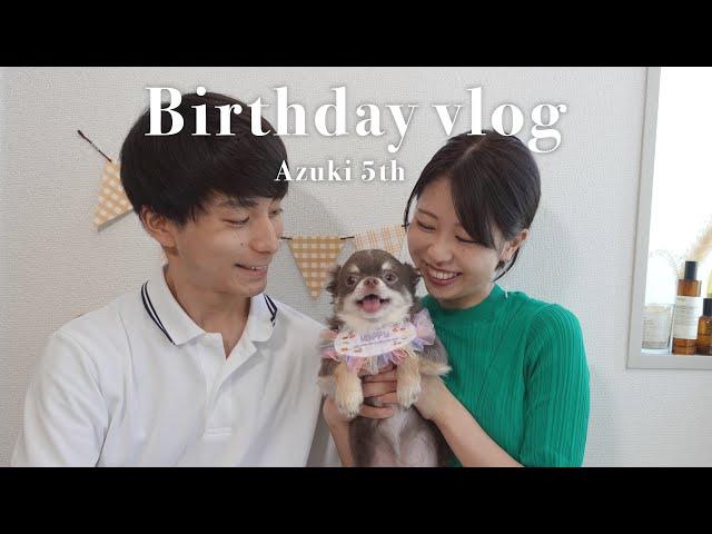 バースデーvlog：愛犬５歳の誕生日をお祝いした日