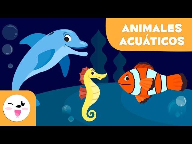 Los animales acuáticos para niños - Vocabulario para niños