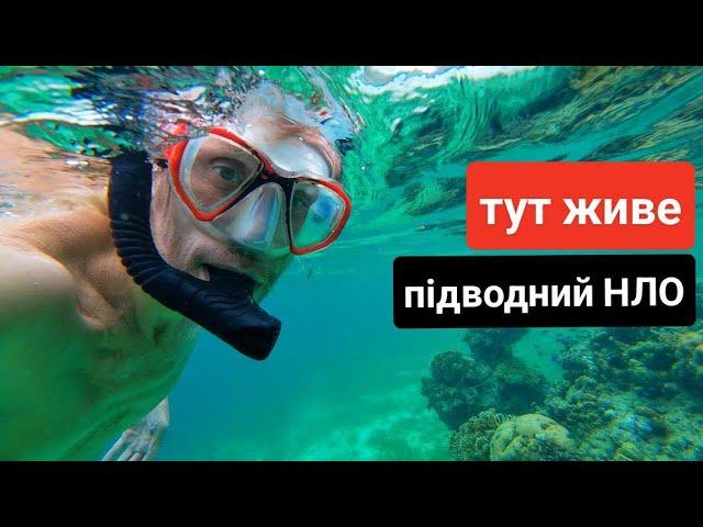 Тут живе підводний НЛО?