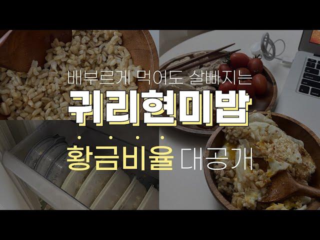 살빠지고 배부르고 맛있고 쉬운 귀리현미밥 만드는 방법 (소분보관팁)