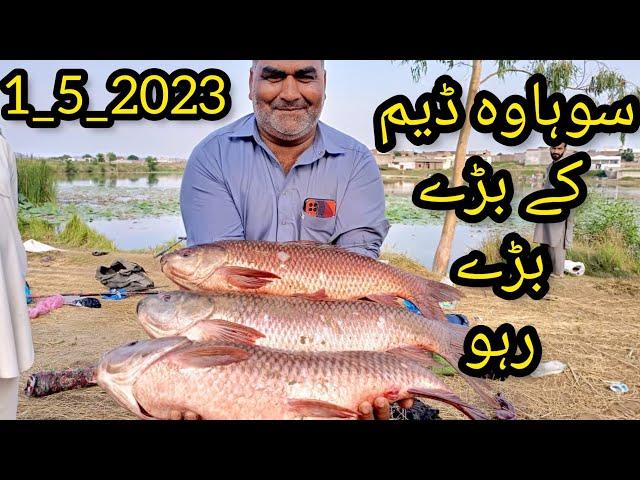 Big Rahu Fish Hunting Point Sohawa Dam Punjab Pakistan | Ustad Kaka Group | Muhammad Saad