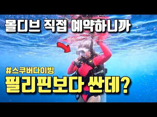 몰디브 안비싼데? 직접 예약하면 40달러에 즐기는 몰디브 황제 다이빙