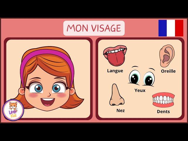 LES PARTIES DU VISAGE | Vocabulaire pour enfants en Français