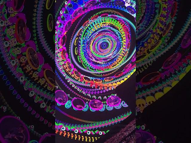Dead and Company @ The Sphere 5/18/2024