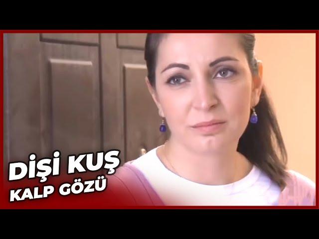 Dişi Kuş - Kalp Gözü