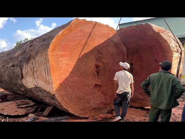 How to Cut Down a Giant Tree with Just a Chainsaw // Creative Design of a Super Large Round Table