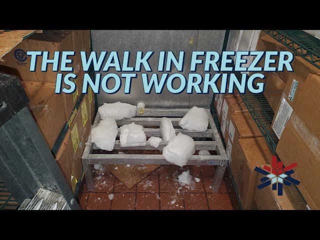 THE WALK IN FREEZER IS NOT WORKING