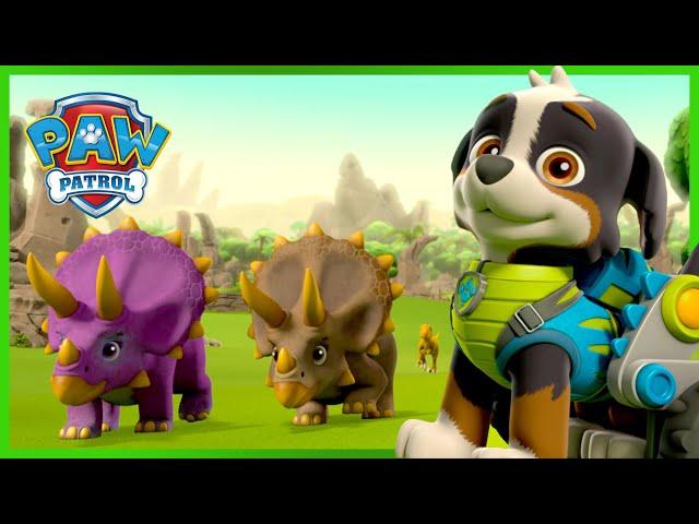 Dino Rescue PAW Patrol Saves Dinosaurs and More! | PAW Patrol | Cartoons for Kids