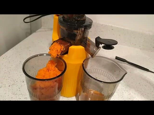 Ventray Ginnie:  1st Juicing Session