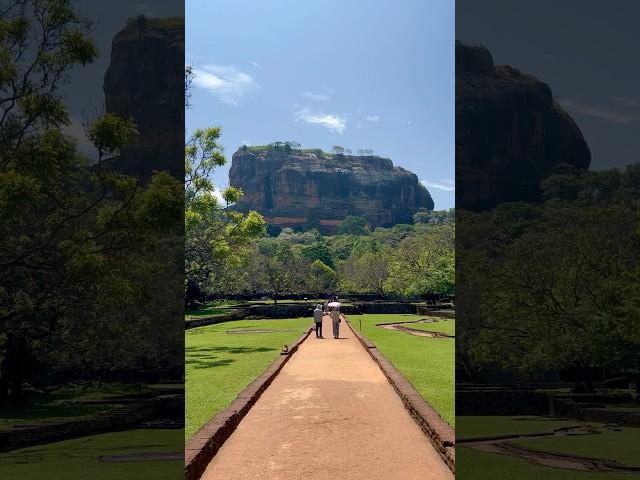 Majestic Sigiriya rock  #sigiriya #srilanka #srilankatravel #shorts #reels #reelsvideo #travel