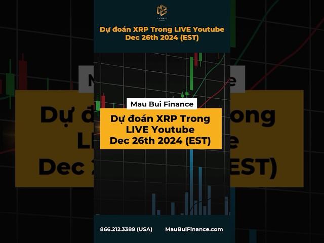 Dự đoán XRP trong Live Youtube Dec 26th 2024