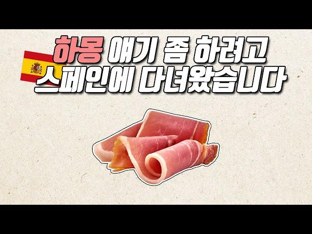 세계 4대 진미 하몽, 알고 먹으면 좀 더 맛있지 않을까?