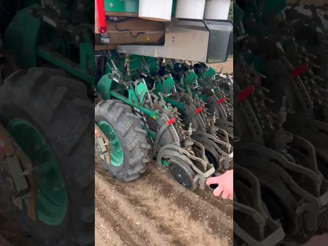 Automatic Leeks  Transplater #shorts #agriculture #farming #tractor #satisfying #viral #fyp #agro