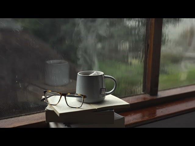 Gentle rain sound for Sleep,Relaxing,Studying and more