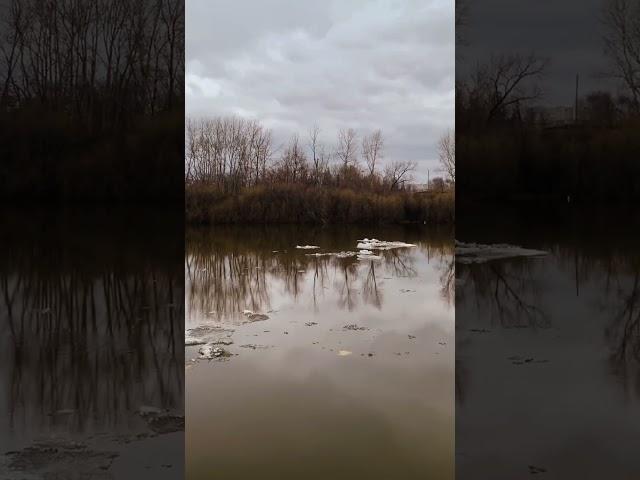 Вода и лёд. Ледоход по реке в Сибири. Весна 2025. #relax #nature #meditation #meditationsounds