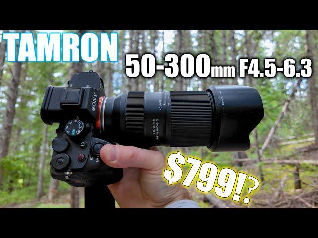 Tamron 50-300mm F4.5-6.3 Review - Awesome Compact Telephoto!