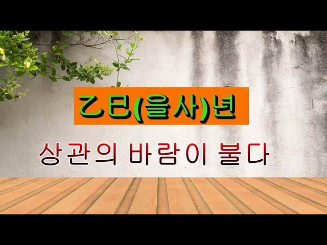 을사(乙巳)년- 자유로운 상관의 바람처럼  내틀을  깨고 나아가자~