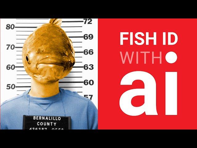 Fish Identification with Artificial Intelligence (AI)