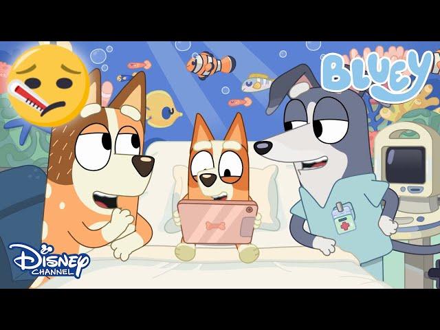 Hastalık | Bluey | Disney Channel TR