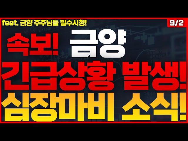 [금양 주가전망]초비상사태! 갑자기 이게 무슨 소리? 상황이 더욱 심각해지네요... 이게 사실이라면 어마어마한 일들이 펼쳐진다! #금양 #금양주가전망 #금양주식전망