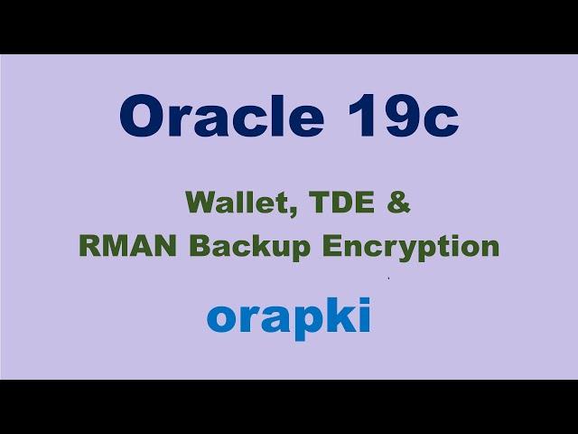 Oracle 19c TDE & Wallet using orapki