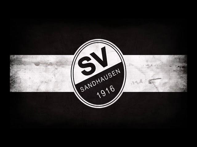 SV Sandhausen Torhymne 2024/25