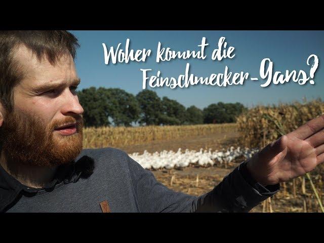 Die Heimat der Feinschmecker-Gans – der Gänse-Bauernhof von Familie Claßen. Gourmondo Unterwegs