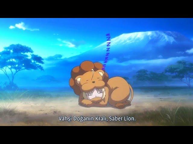 Vahşi Doğanın Kralı, Saber Lion - Fate Carnival Phantasm Türkçe