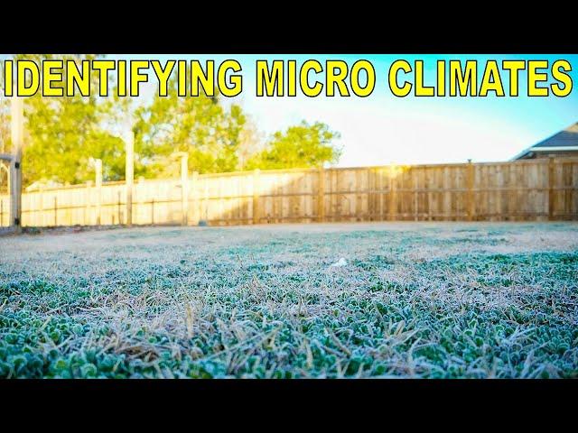 MICROCLIMATES Can Change The Way You Garden!