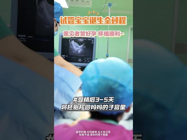 今天跟大家揭秘一下，试管宝宝诞生的全过程 #试管 #试管婴儿 #手术室日常 #医学科普