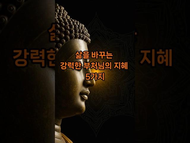삶을 바꾸는 강력한 부처님의 지혜 5가지