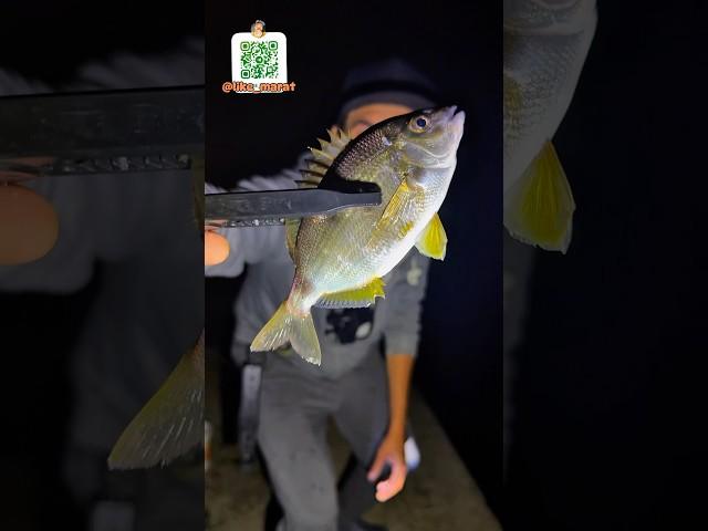 Рыбалка в Сочи в начале лета #fishing #рыбалка #сочи #sochi #reels #tiktok #shorts