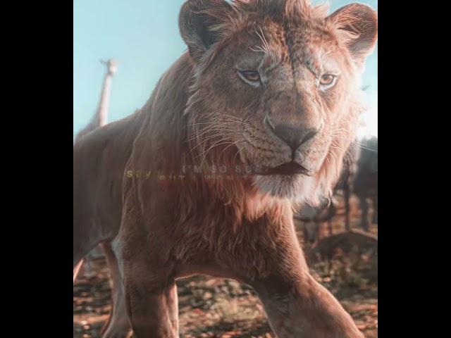 "The Fallen King" - Scar "Mufasa: The Lion King" Edit | EMIN ft. JONY - Каmin (slowed)(tiktok remix)