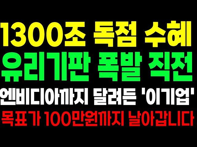 [주식]1300조 독점 수혜 유리기판 폭발 직전 엔비디아까지 달려든 '이기업'  목표가 100만원까지 날아갑니다 #티씨케이 #로체시스템즈