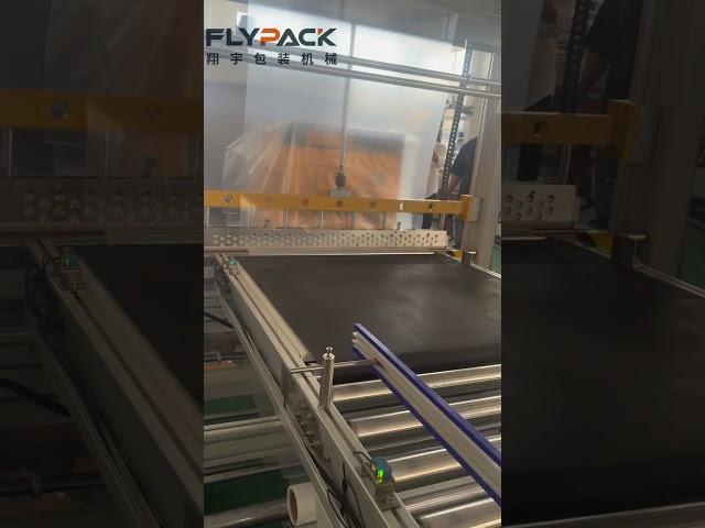 Carton shrink wrap machine,5-8CTNS/min #packagingmachine #machine shrink wrap