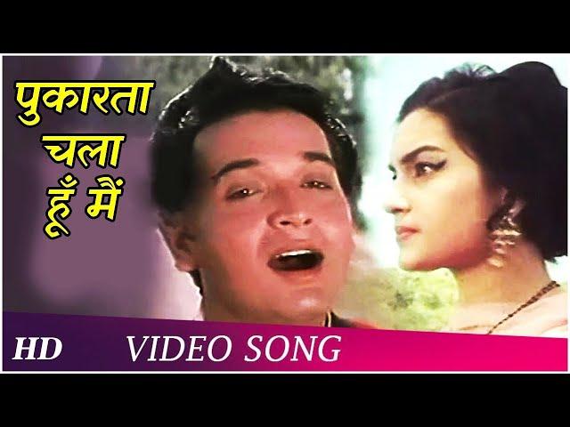 Pukarta Chala Hoon Main (HD) | Mere Sanam (1965) | Asha Parekh | Biswajit Chatterjee | Mohd.Rafi