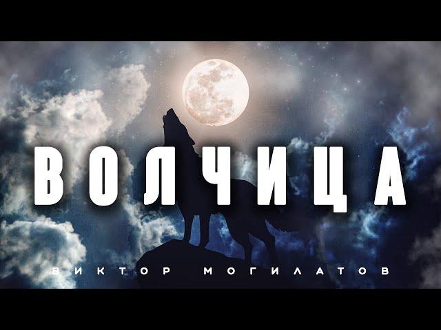 ВОЛЧИЦА | Новинка 2023 | Виктор Могилатов