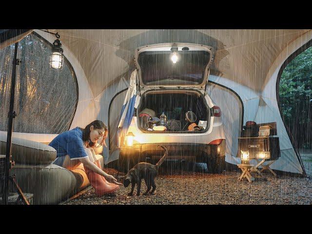 All day rain Solo Camping with Big Shelter in Heavy Rain / A friendly cat came! / rain ASMR