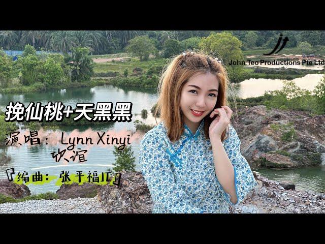 挽仙桃+天黑黑️（福建小调歌曲）｜Lynn Xinyi欣谊｜4K MV 首播 新加坡【张平福JT 制作公司】 John Teo Productions