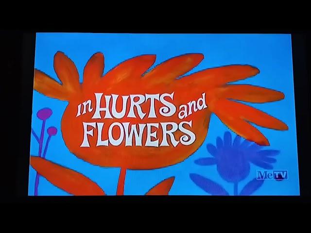 Hurts And Flowers (1969) Opening on Metv